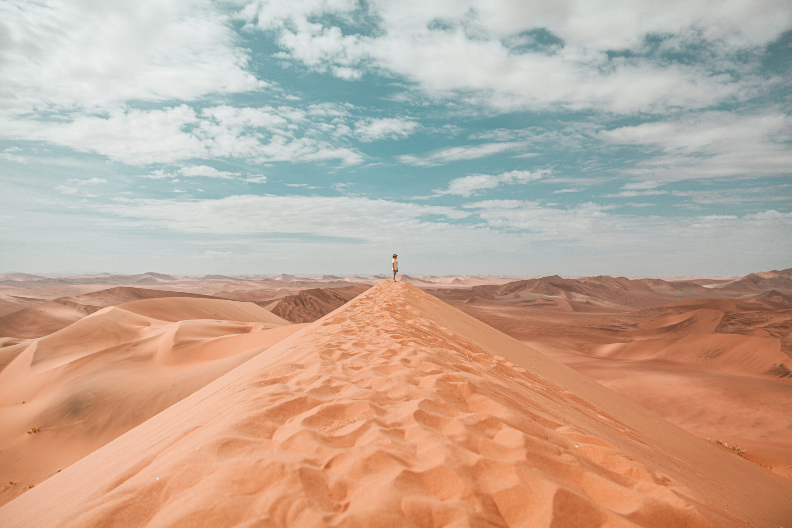 Namib Dunes full frame scaled