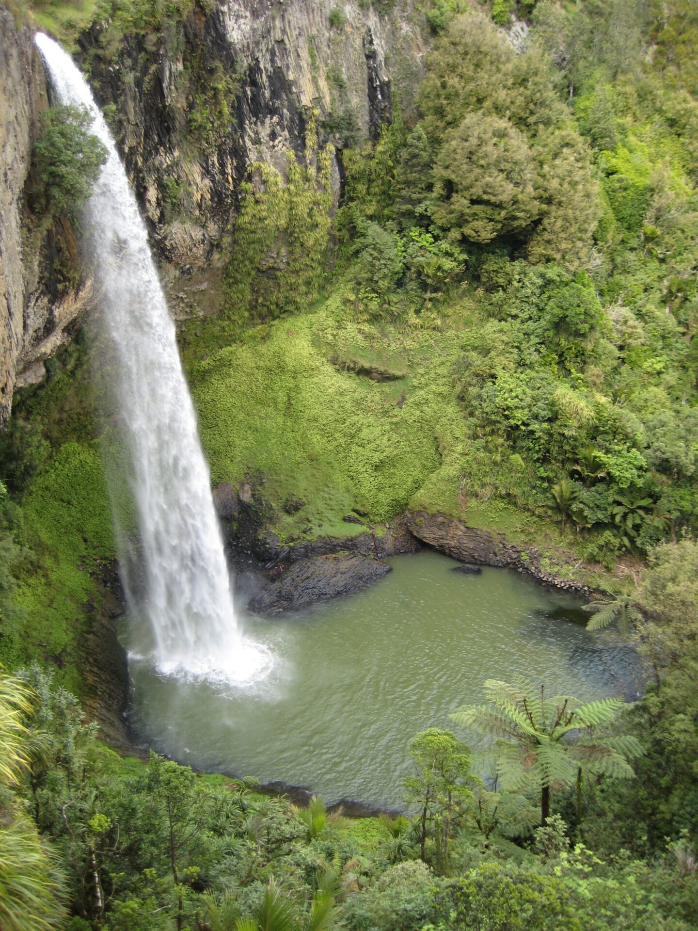 1511792719 6da02df1d8 o scaled 1