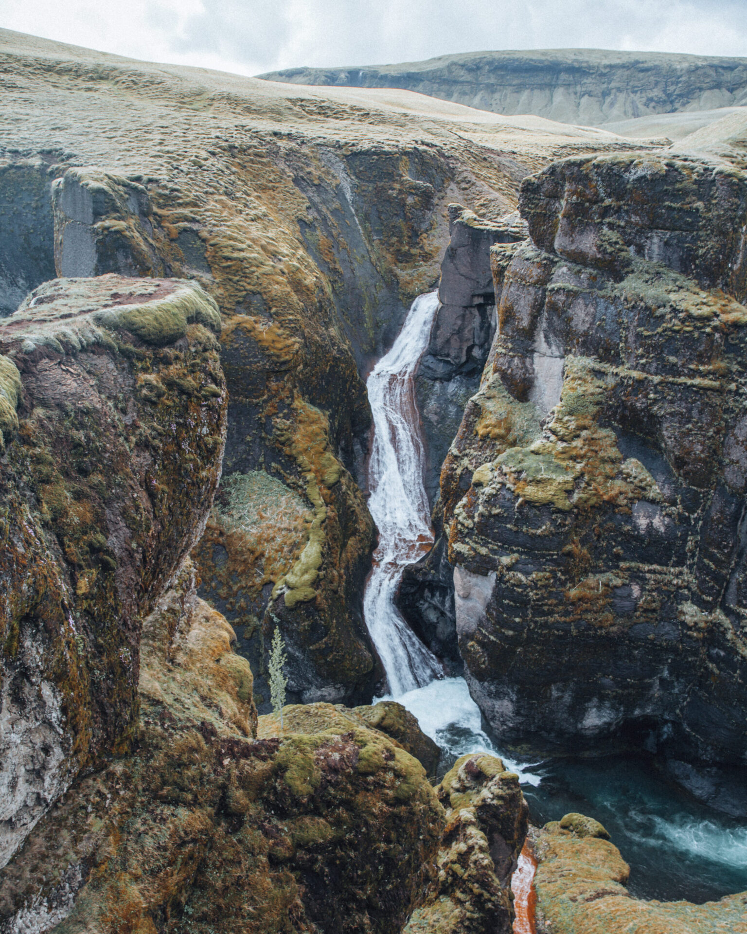 25772914378 ac30d9844c o scaled 1