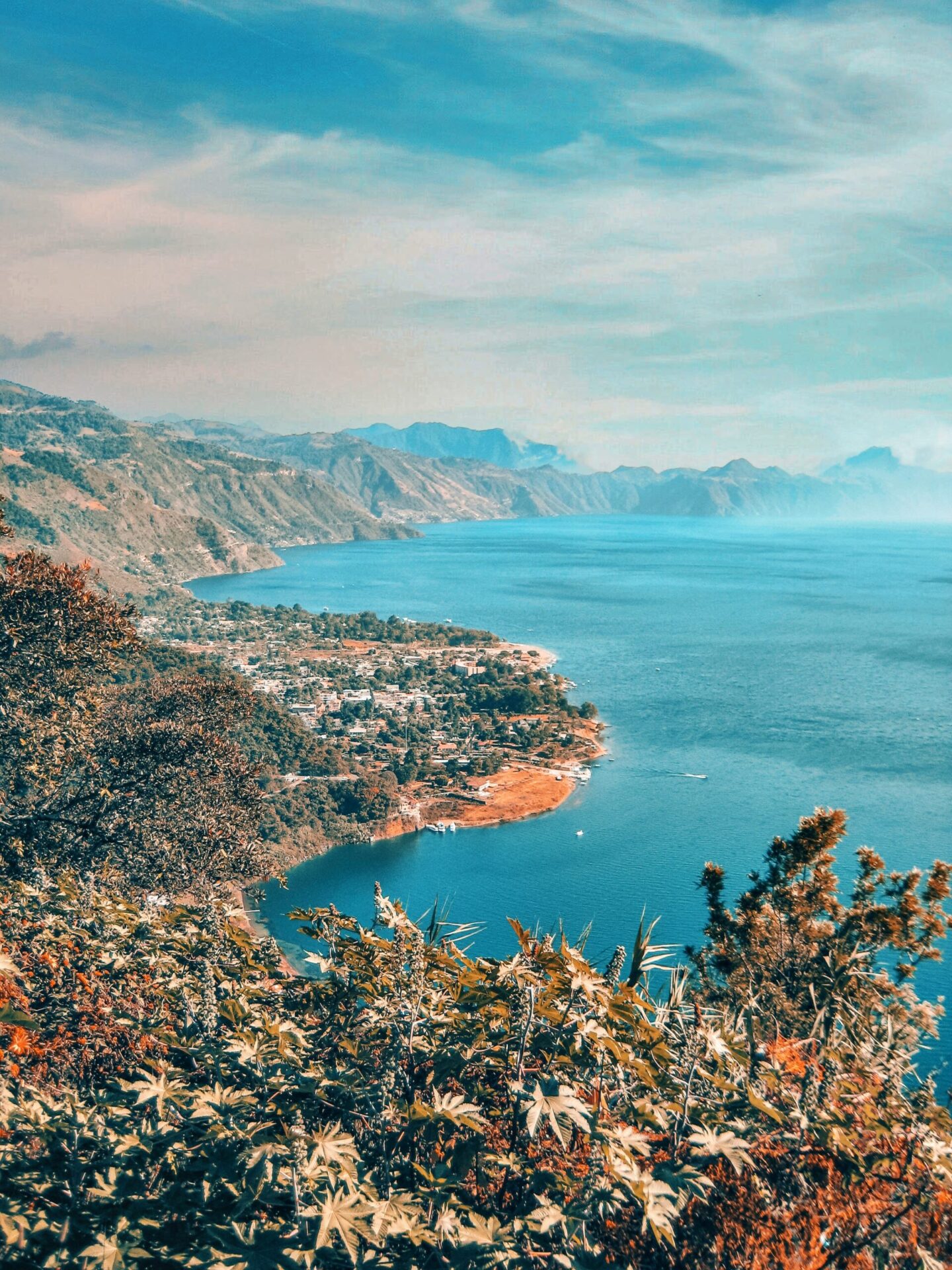 393CCAF8 F70C 4987 A48F 0AFC6BD3D4F2 scaled 1