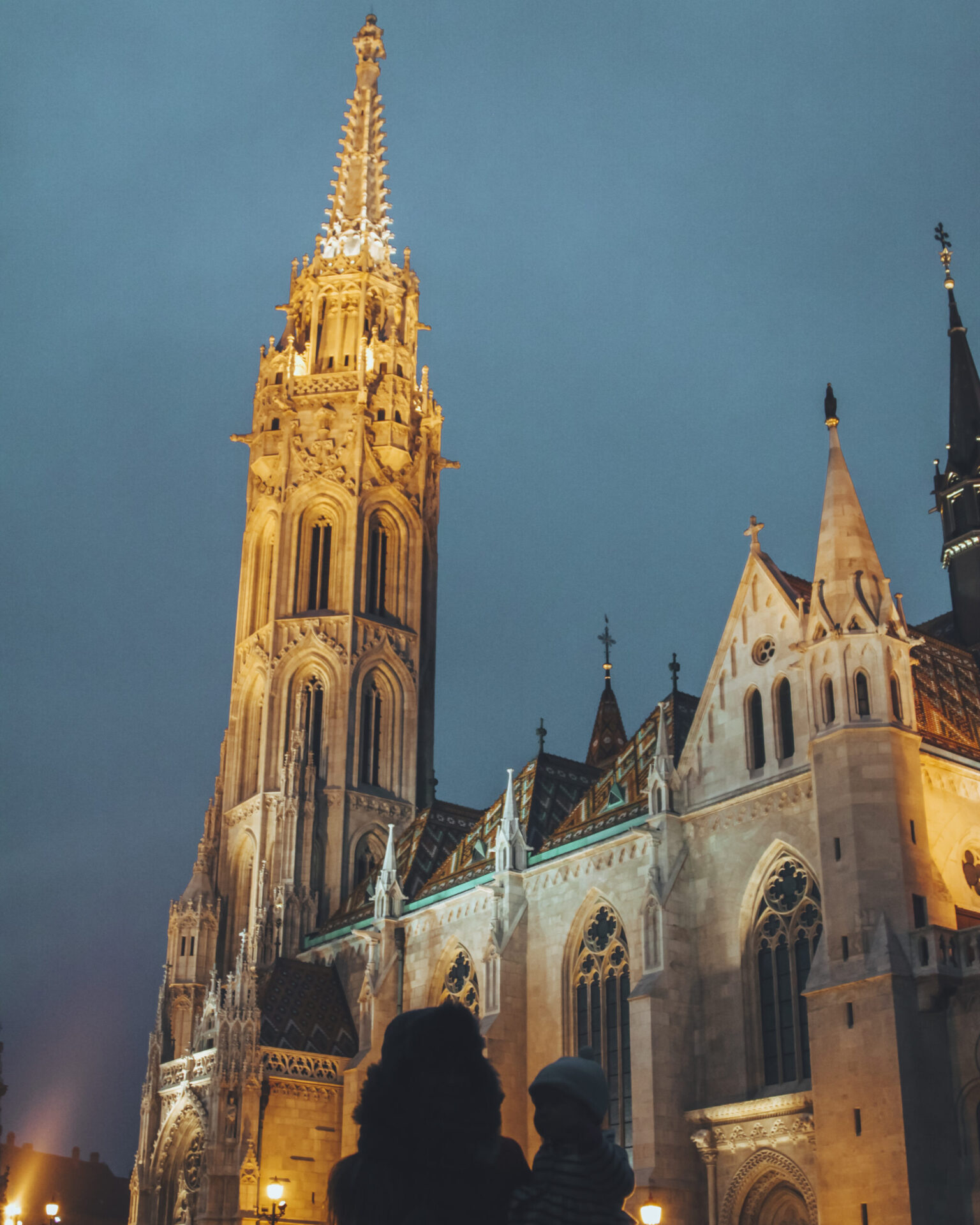 Buda 433347859 scaled 1