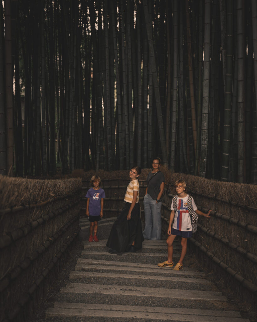 54035068810 02d8f05fef o